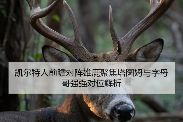 凯尔特人前瞻对阵雄鹿聚焦塔图姆与字母哥强强对位解析